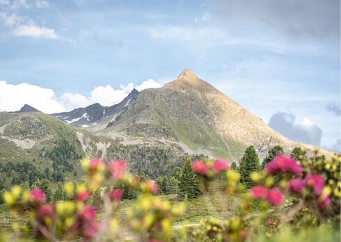 Hotel Alpenrose